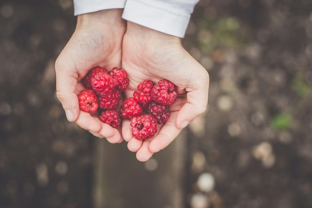 Himbeeren – Nährwerte, Vitamine und Vorteile