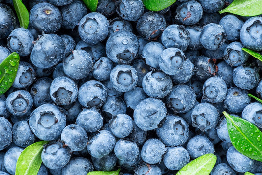 So helfen Heidelbeeren beim Abnehmen